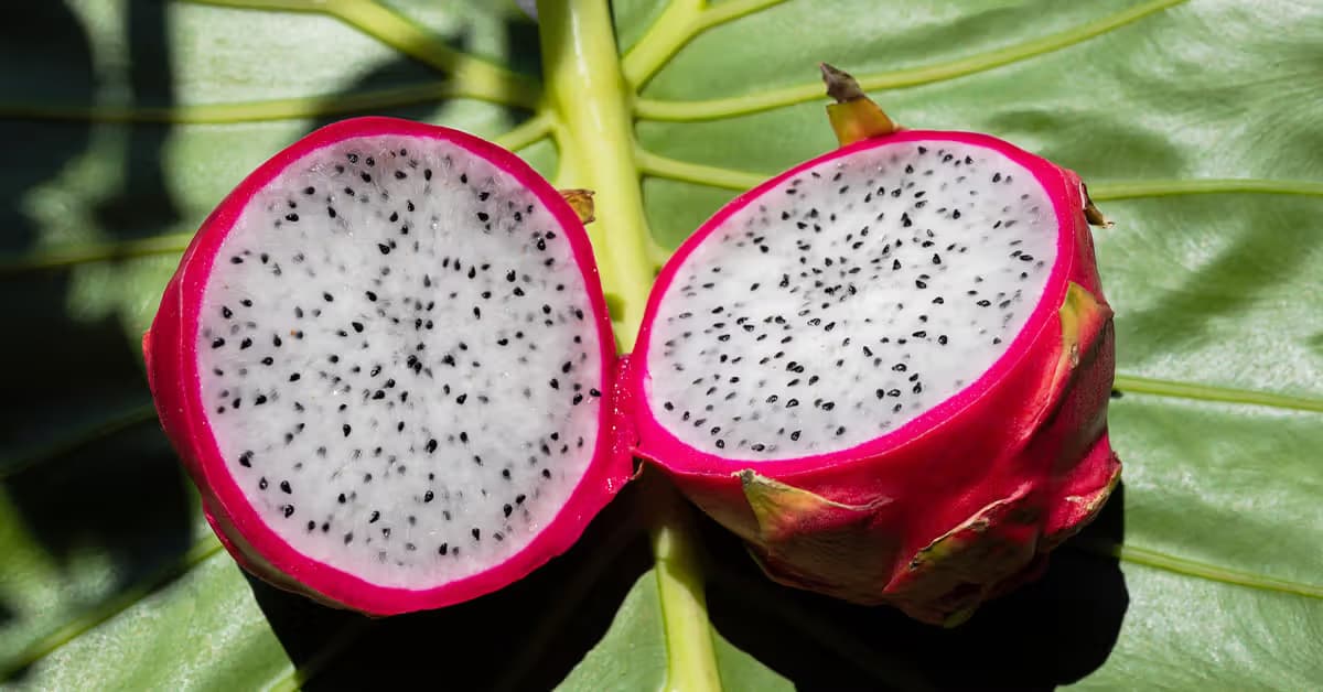 Organic Dragon Fruit Powder